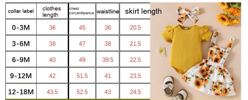 Baby Girl's Summer Short-sleeved Top Suspender Skirt Suit Set