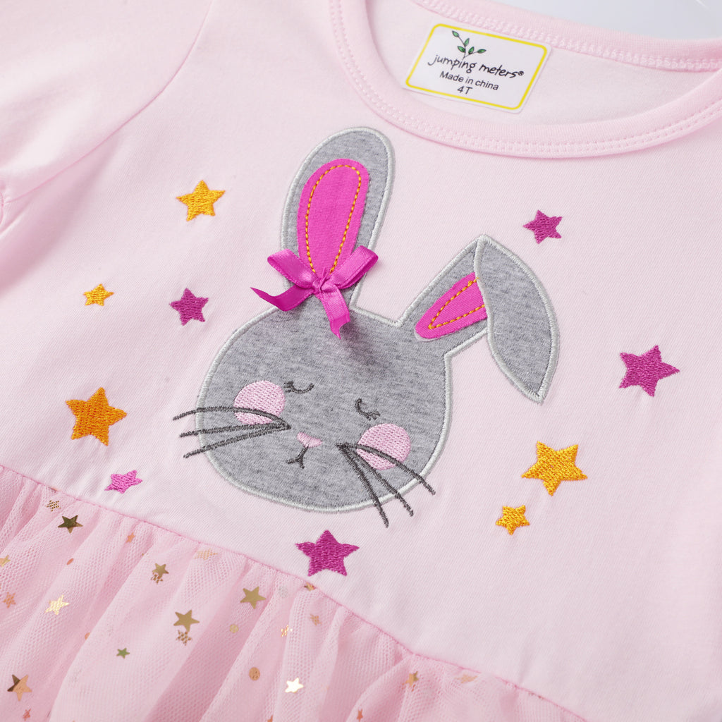 Mesh Girls Long Sleeve Embroidered Princess Dress