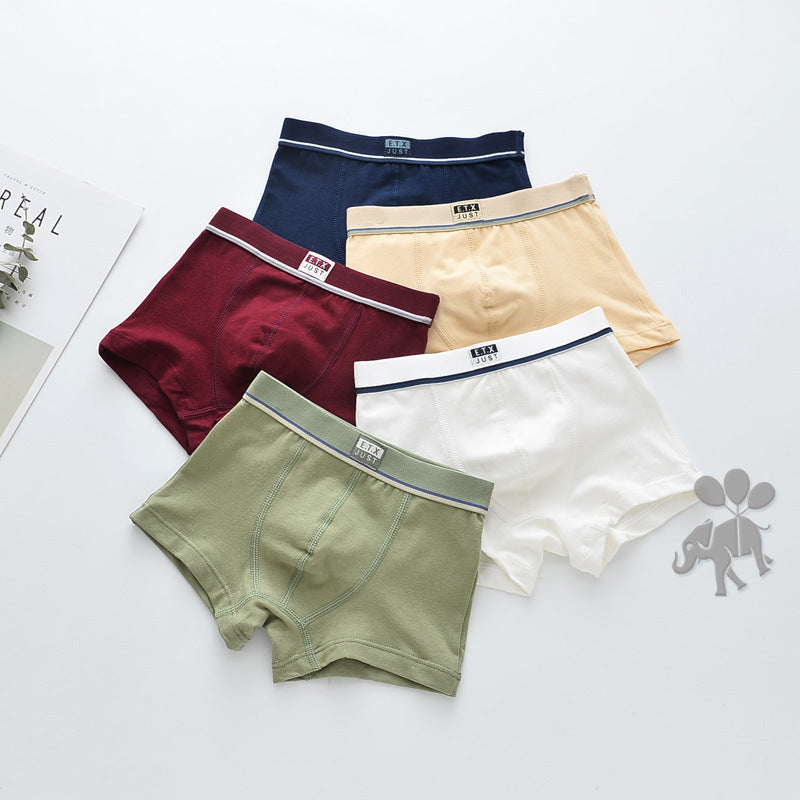 Boys' Cotton Breathable Underwear 5 Pack