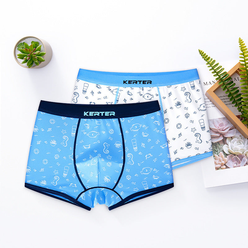 Boy's Underwear Boxer Cotton Underwear 2 Pack