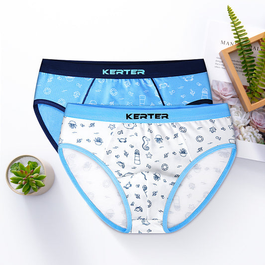 Boy's Underwear Boxer Cotton Underwear 2 Pack