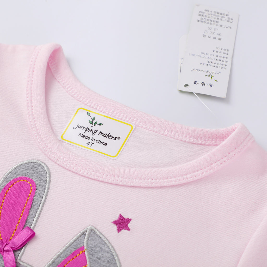 Mesh Girls Long Sleeve Embroidered Princess Dress