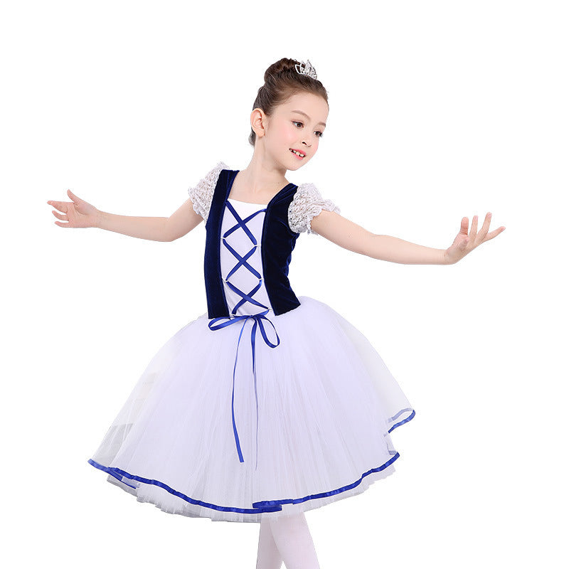 Ballet Dance Dress Children's Little Swan Costume Performance Wear Long Skirt Pettiskirt