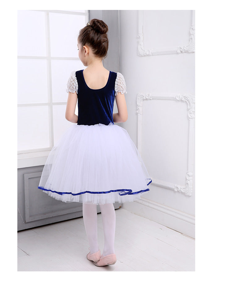 Ballet Dance Dress Children's Little Swan Costume Performance Wear Long Skirt Pettiskirt