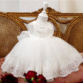 Baby/Toddler Girls' Tulle Tutu Super Fairy Princess Dress