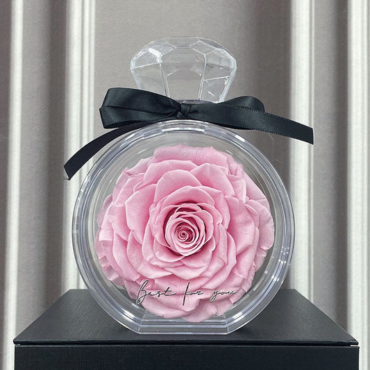 Flower Ornament Transparent Cover Dried Rose Gift Box