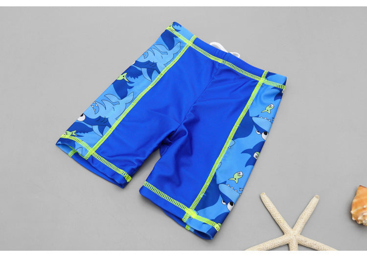 Boys' 2pc Sunscreen Swimsuit