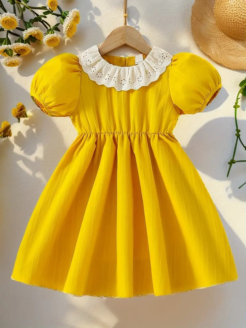 Embroidered Flowers Holiday Party Dress Girl