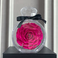 Flower Ornament Transparent Cover Dried Rose Gift Box